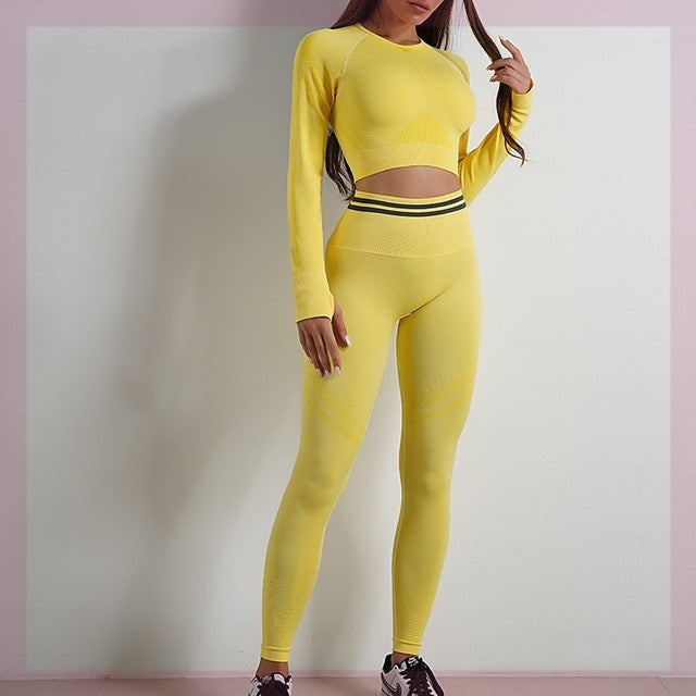 Women's Seamless Long Sleeve Gym Set – Top & Leggings